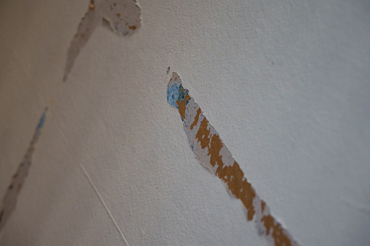 Basement Water Removal service in Akron, OH